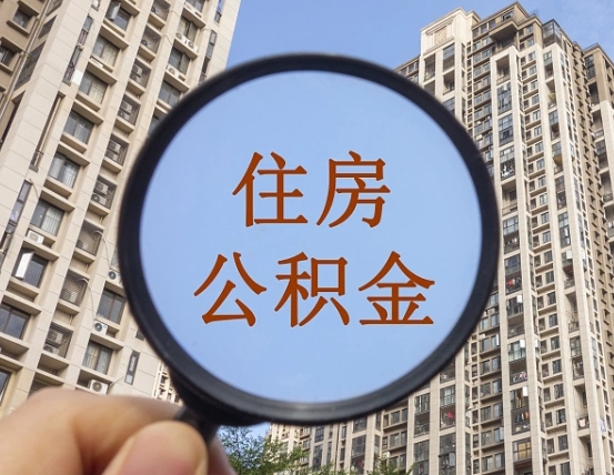溧阳退休后查不到公积金明细了吗（退休后公积金查询不到原因）